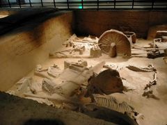 -洛阳周王城天子驾六博物馆