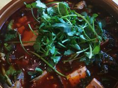 -胖大姐黄辣丁鱼庄(新津店)