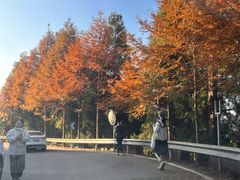 -泽雅景区