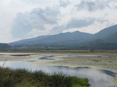 -腾冲北海湿地