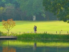 -上海共青森林公园