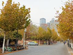 -天津五大道文化旅游区