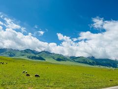 -新疆那拉提国家旅游度假区