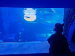 -太平洋海底世界