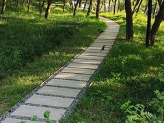-燕儿岛山公园