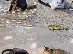 -西园寺