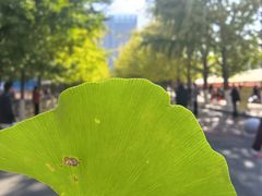 -辽宁大学(崇山校区)