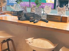 -南枝小馆(银鱼巷店)