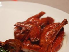 脆皮乳鸽-新荣记(BFC外滩金融中心店)