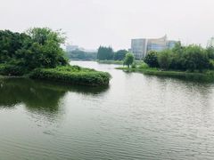 -四川大学(江安校区)