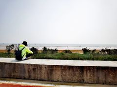 -日照海滨国家森林公园