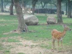 -西安秦岭野生动物园
