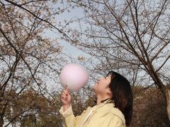 -堤角公园
