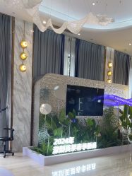 -深圳美莱医疗美容医院