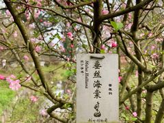 -杭州植物园