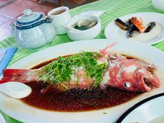 东星斑-盛港湾海鲜食府(黄沙店)