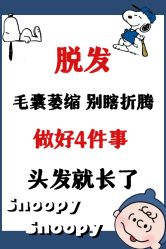 -Bollins波林丝•专研护发中心