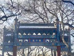 -北京国子监胡同