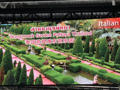 -东芭乐园