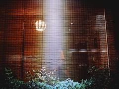 门面-水之惠鲜鱼料理(王府大街店)