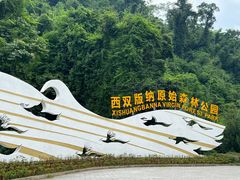 -西双版纳原始森林公园