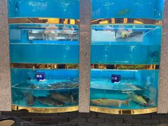 水产区-鱼䲆鱻云南草帽蒸汽石锅鱼(云尚国际店)