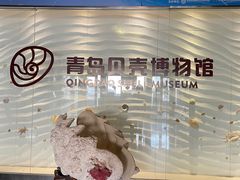 -青岛贝壳博物馆