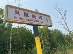 -凤凰岭蒙古包风味餐厅