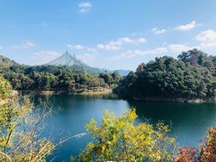 -千岛湖东南湖区