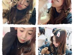 -李小姐の猫咖啡馆(五角场店)