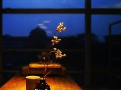 -無用生活空间(北京店)