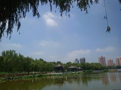 -莲花池公园