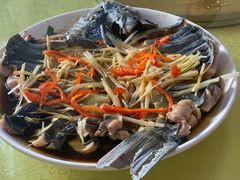 -煲来饱去冷水鱼