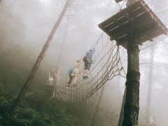 -梦幻奥陶纪景区