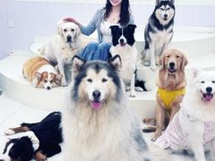-汪说·狗咖·拼豆·宠物周边DIY(旺城大厦店)