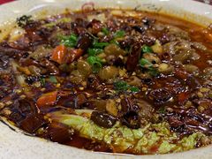 鸭血肥肠-蜀膳坊(洪公祠小区店)