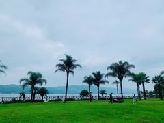 -阳宗海湿地