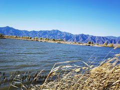 -野鸭湖国家湿地公园