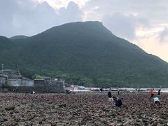 -杨梅坑