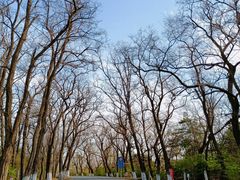 -沈阳辉山风景区