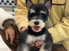 -帕帕拉兹宠物(亚洲旗舰店)