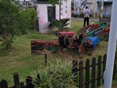 -南汇水蜜桃采摘(大团店)