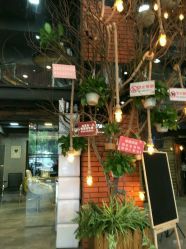 -苏奇发型·烫发染发