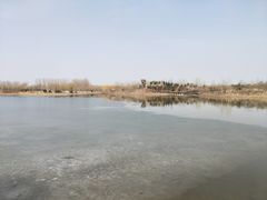 -东郊湿地公园