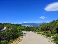 -北京西山国家森林公园