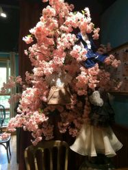 -星豆豆儿童摄影(南郊太白南路店)