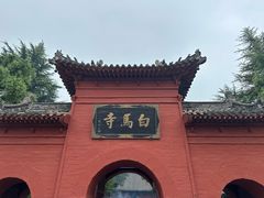 -洛阳白马寺