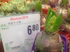 -大润发(张江店)