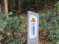 -火炉山森林公园