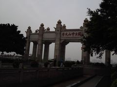 -中山大学学者灵芝(园南路店)